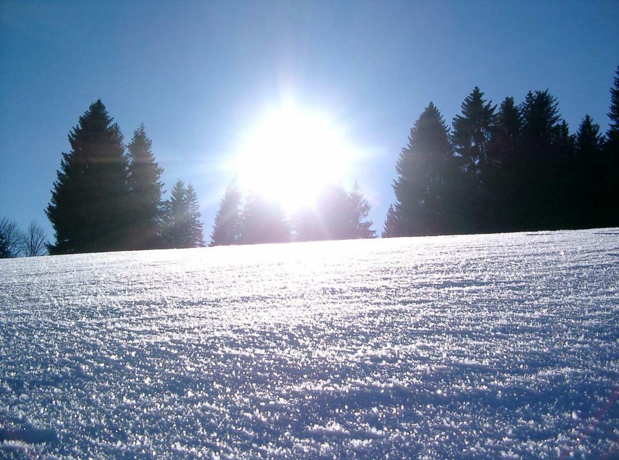 WEITBLICK entspannen - wohlfühlen - aktiv erholen Elzach Exterior foto
